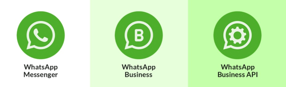 Imagem mostra os logo tipos das versões do WhatsApp